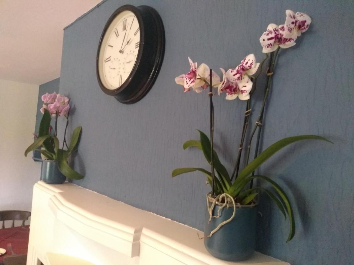 The Crossings Bed and Breakfast Carlisle  Exteriör bild